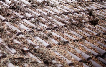 Penrhos Garnedd roof cleaning companies