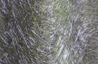 Penrhos Garnedd fibreglass roof work